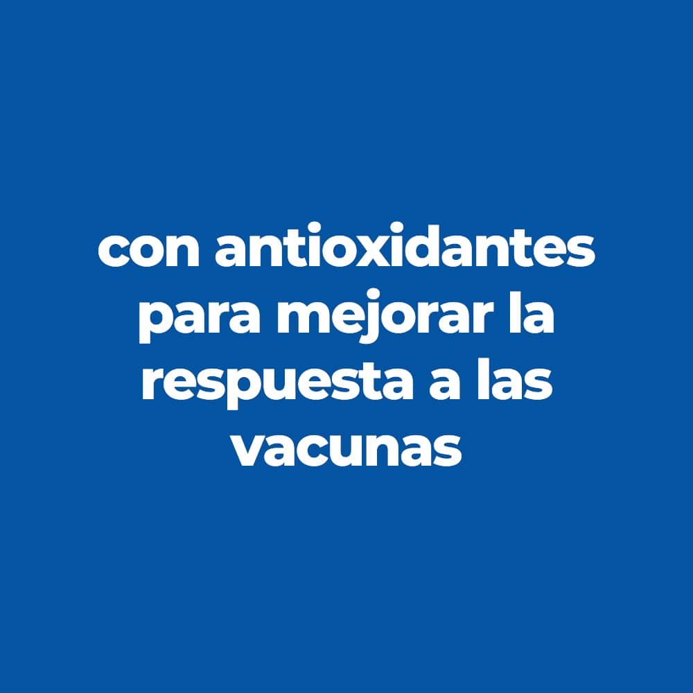 croquetas puppy cachorro