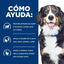 hills metabolic perros