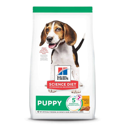 hills puppy