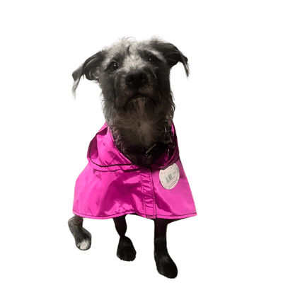 impermeable para perros pequeños