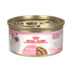 kitten royal canin