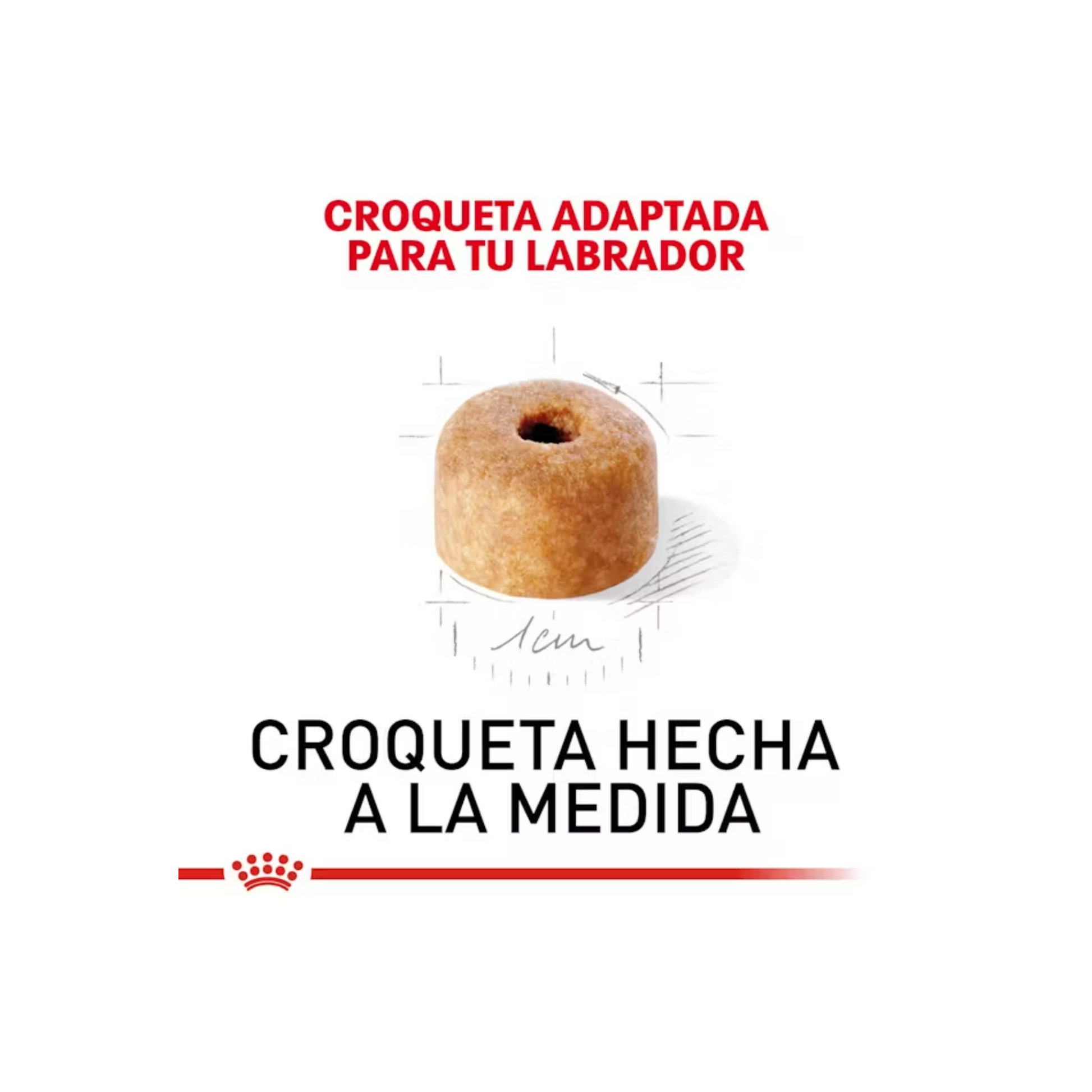 royal canin labrador retriever