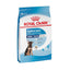 royal canin maxi puppy