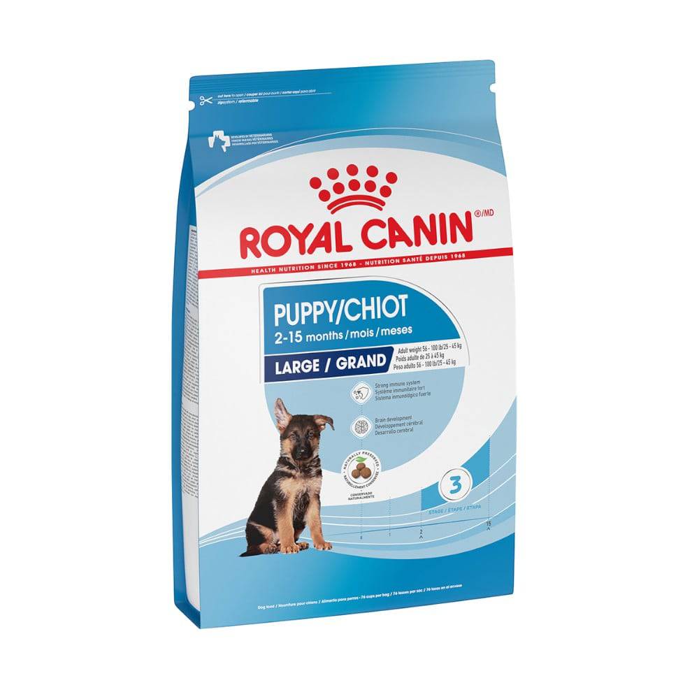 royal canin maxi puppy