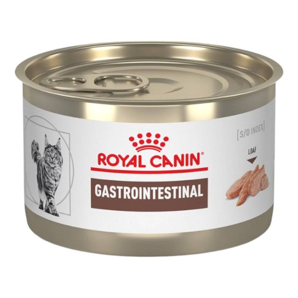 latas gastrointestinal gatos
