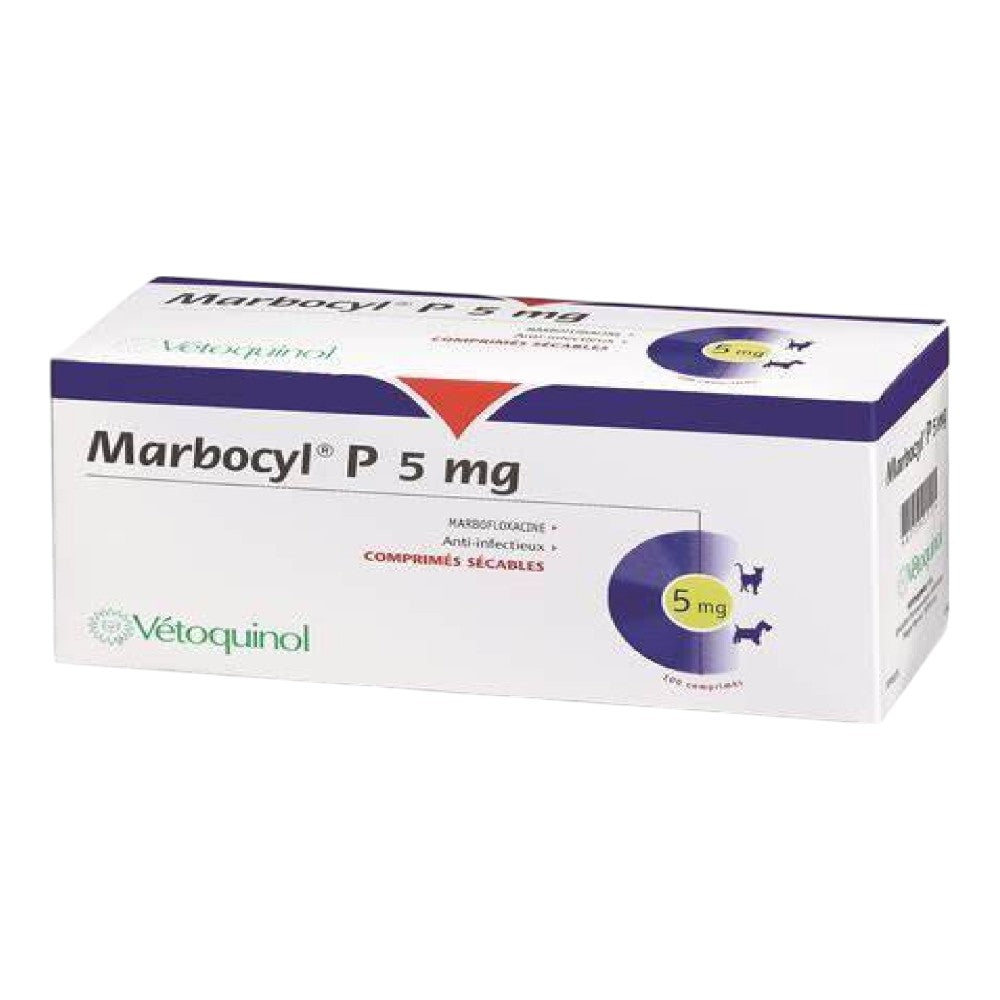 marbofloxacina gatos