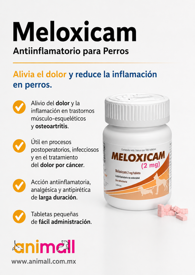 Alpha Chem Meloxicam para perros | Frasco con 100 Tabletas 2 mg