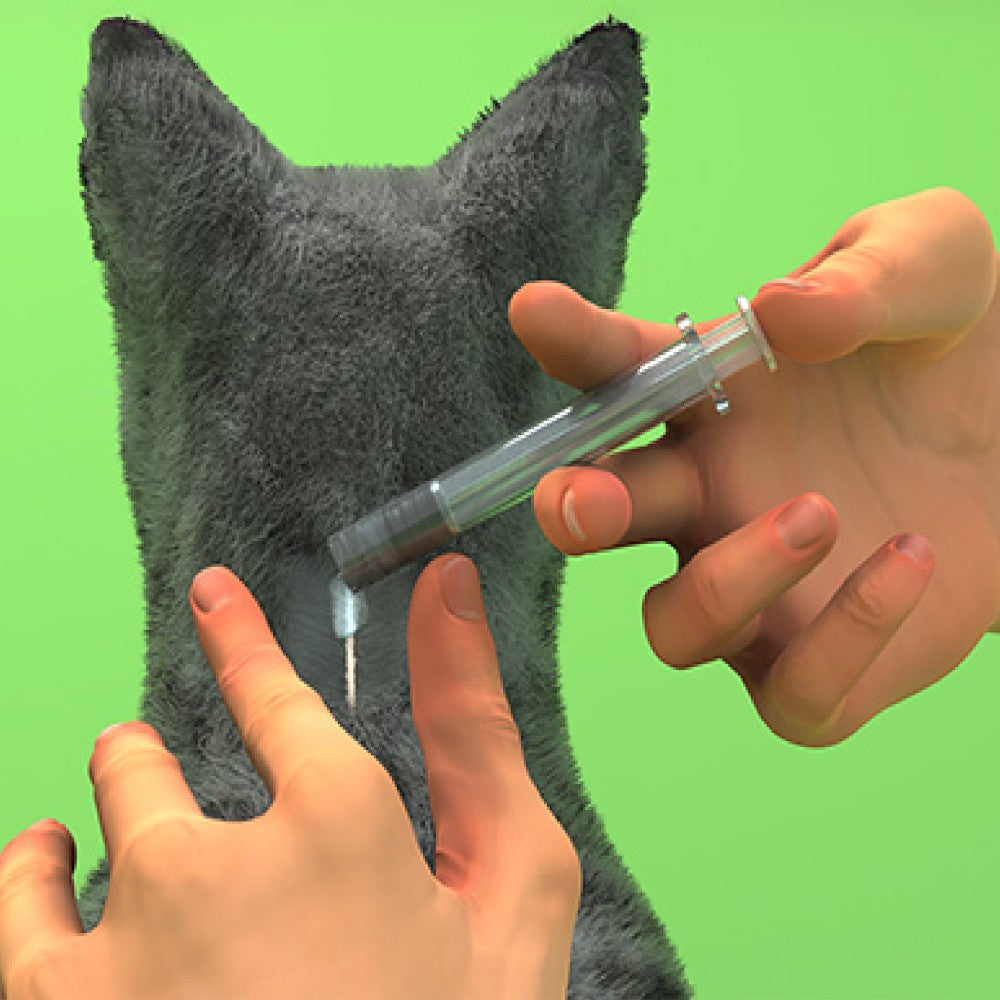 negxrad gatos
