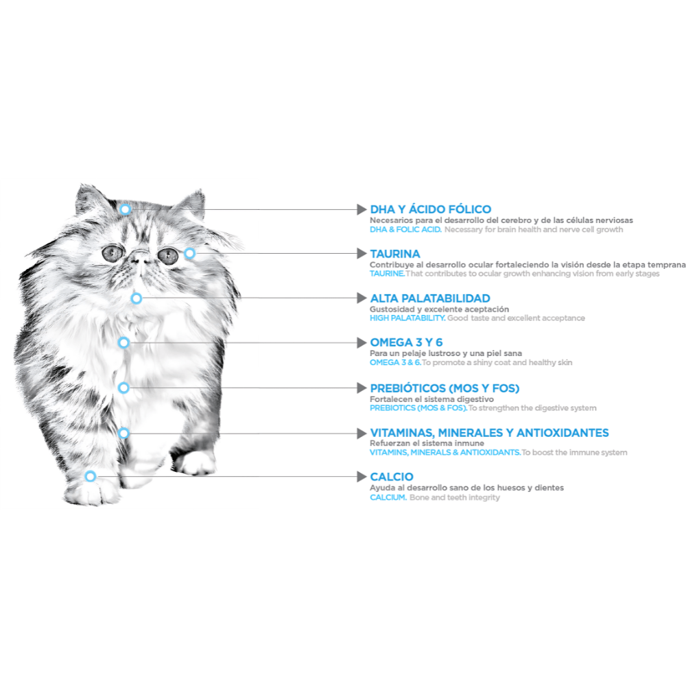 Nupec Kitten 3kg