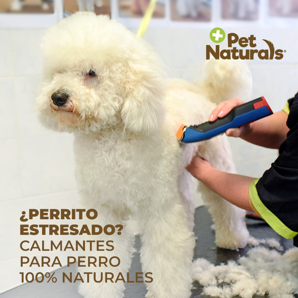 tranquilizante para perros