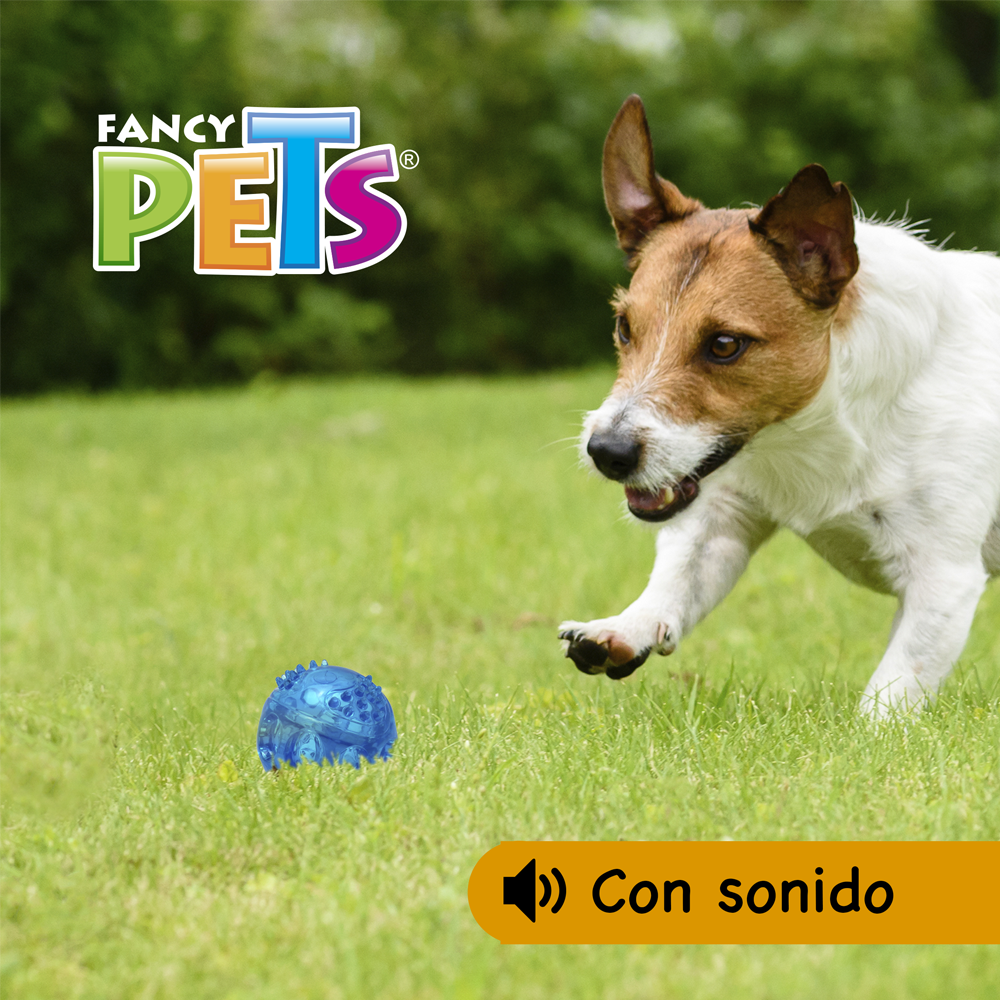 pelota interactiva para perros