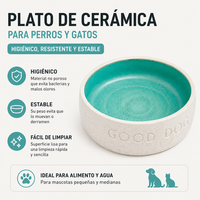bol para gatos