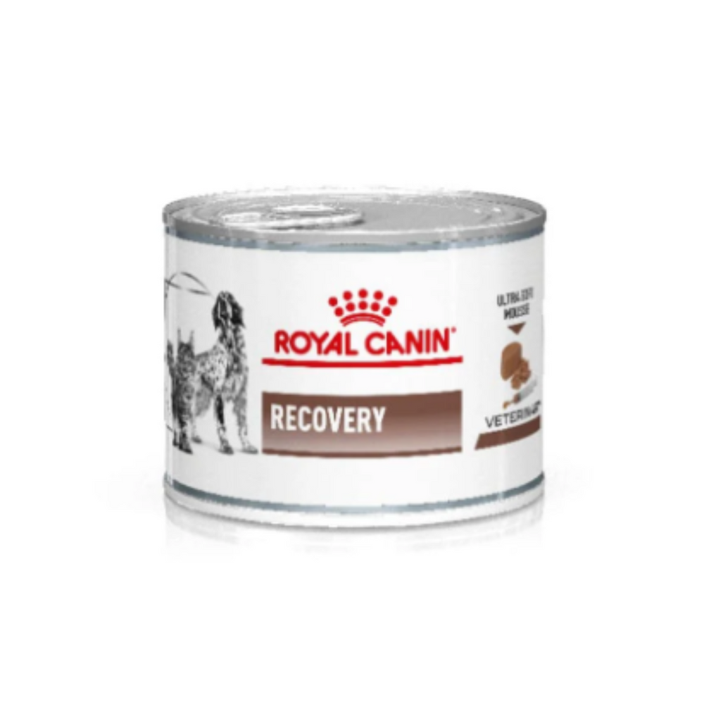 Lata Royal Canin Recovery Perro y Gato 145 g | Recuperación