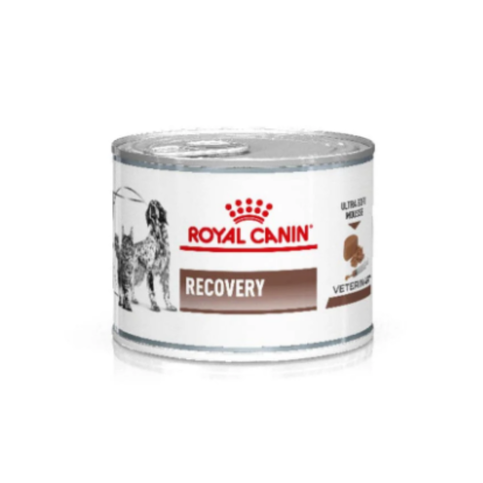 latas recovery gatos
