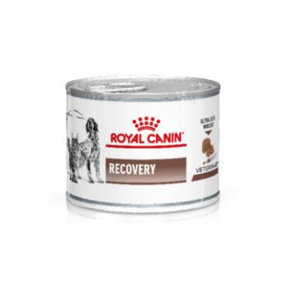 latas recovery gatos