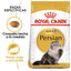 royal canin gato persa
