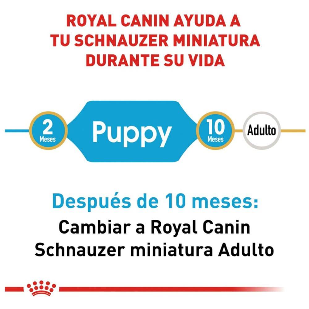 royal canin miniature schnauzer