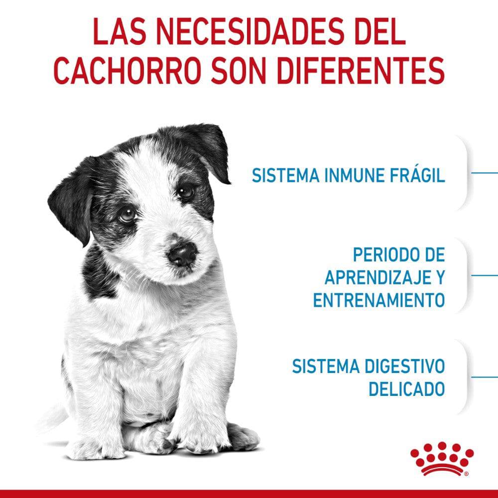 Royal Canin para Cachorros
