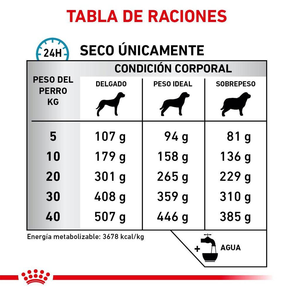 royal canin anallergenic perros