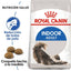 royal canin gatos indoor