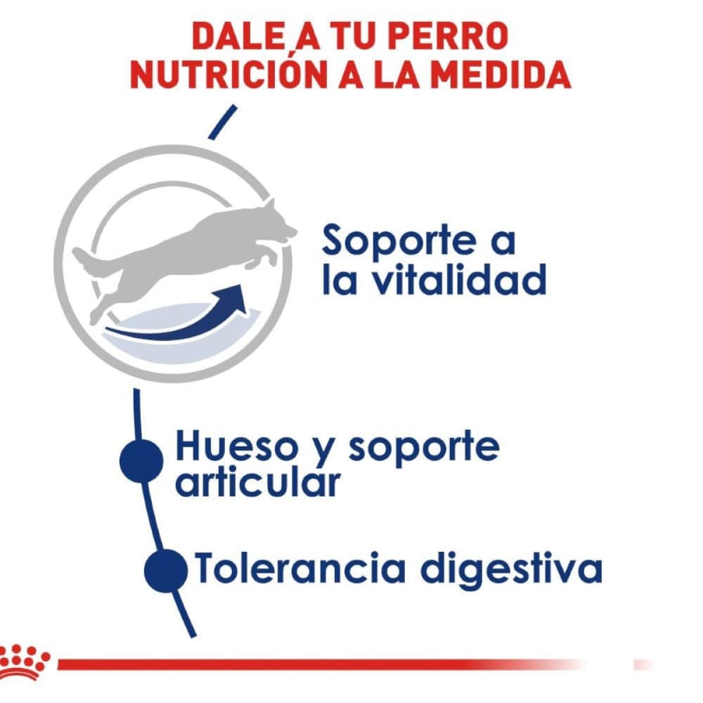 Royal Canin Senior Perros