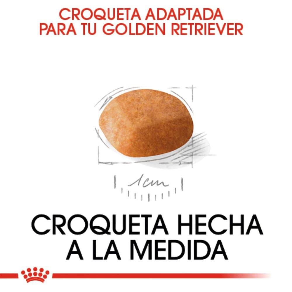 royal canin golden retriever puppy