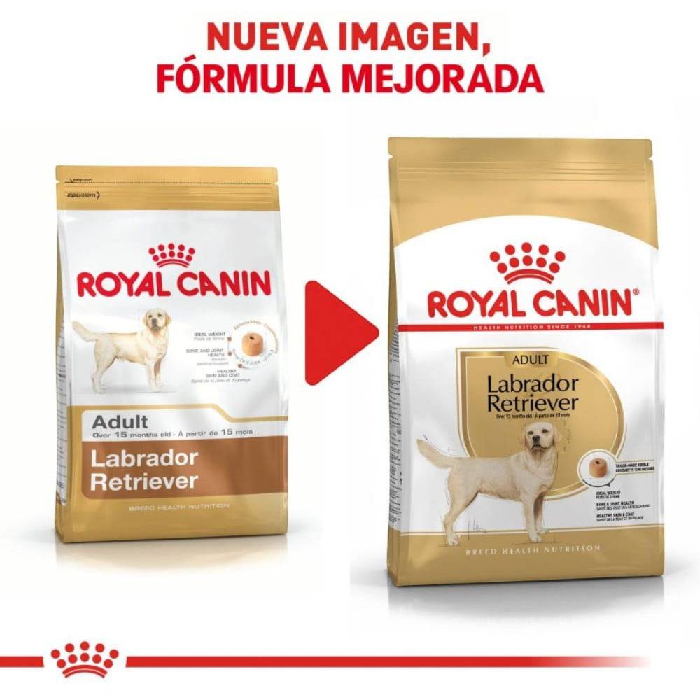 royal canin labrador