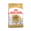 royal canin labrador retriever adulto