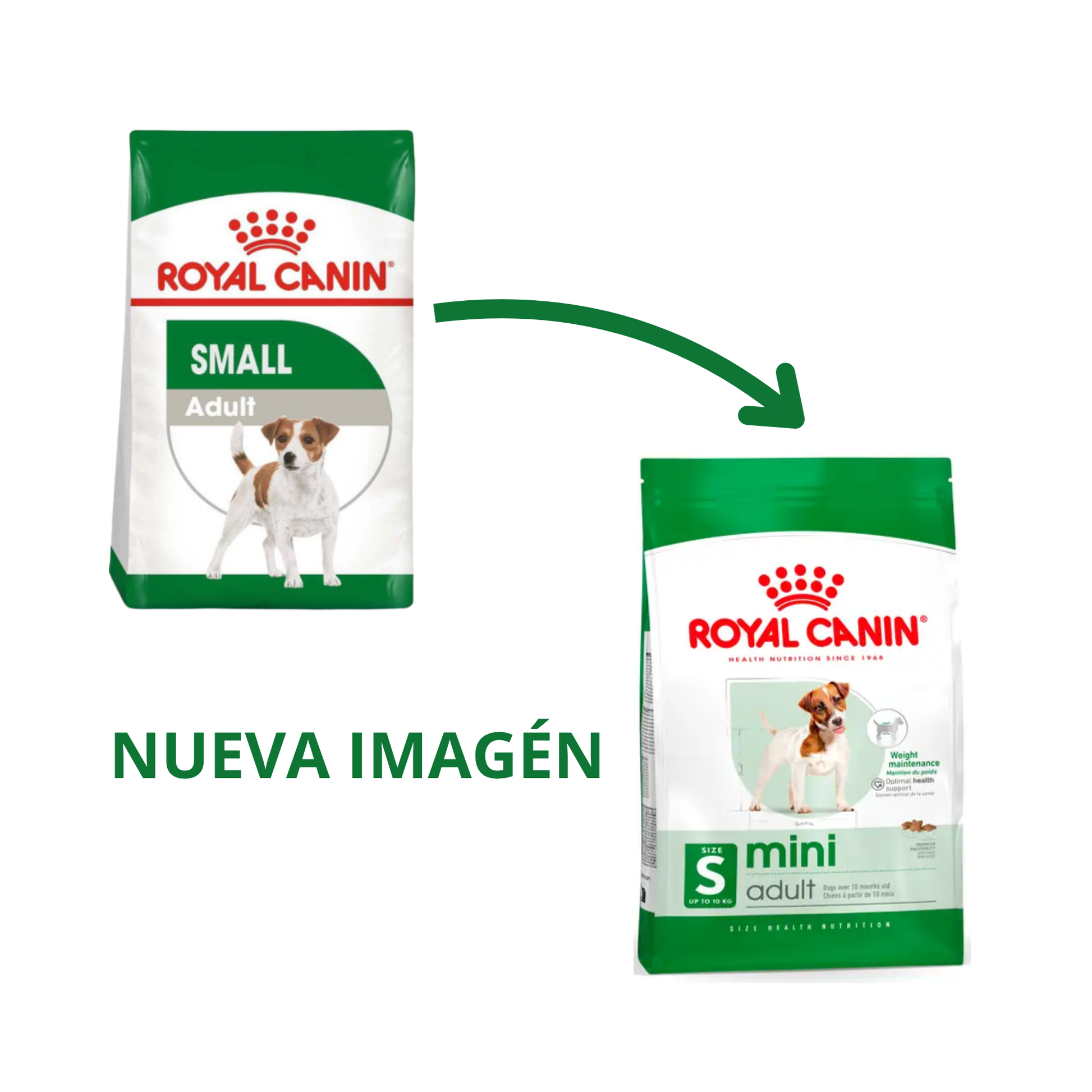 royal canin mini adulto