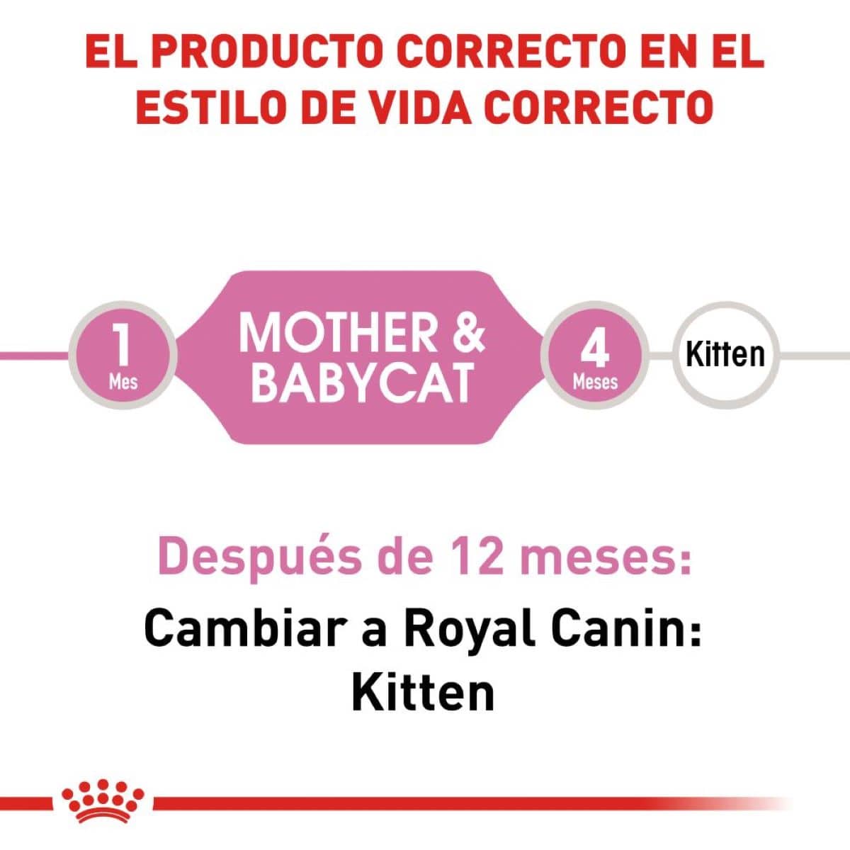 Royal Canin Mother and Babycat Alimento Gato Gatito 1.37 kg - AniMALL