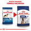 royal canin senior raza grande