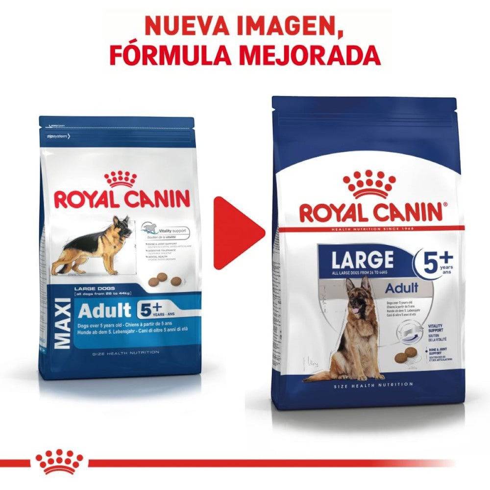 royal canin senior raza grande