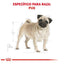 Royal Canin Perro Pug Adulto 4.5 kg - AniMALL