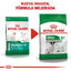 royal canin small