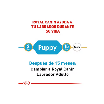 Royal Canin Perro Cachorro Labrador Retriever 13.6kg