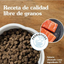Taste of the wild salmon adulto