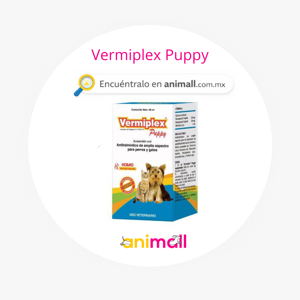 Vermiplex Puppy suspensión oral antiparasitario para perros y gatos