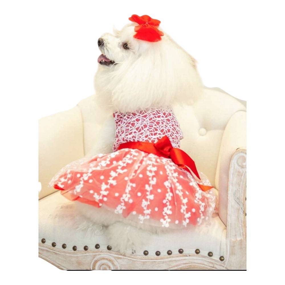 vestidos para perritas elegantes