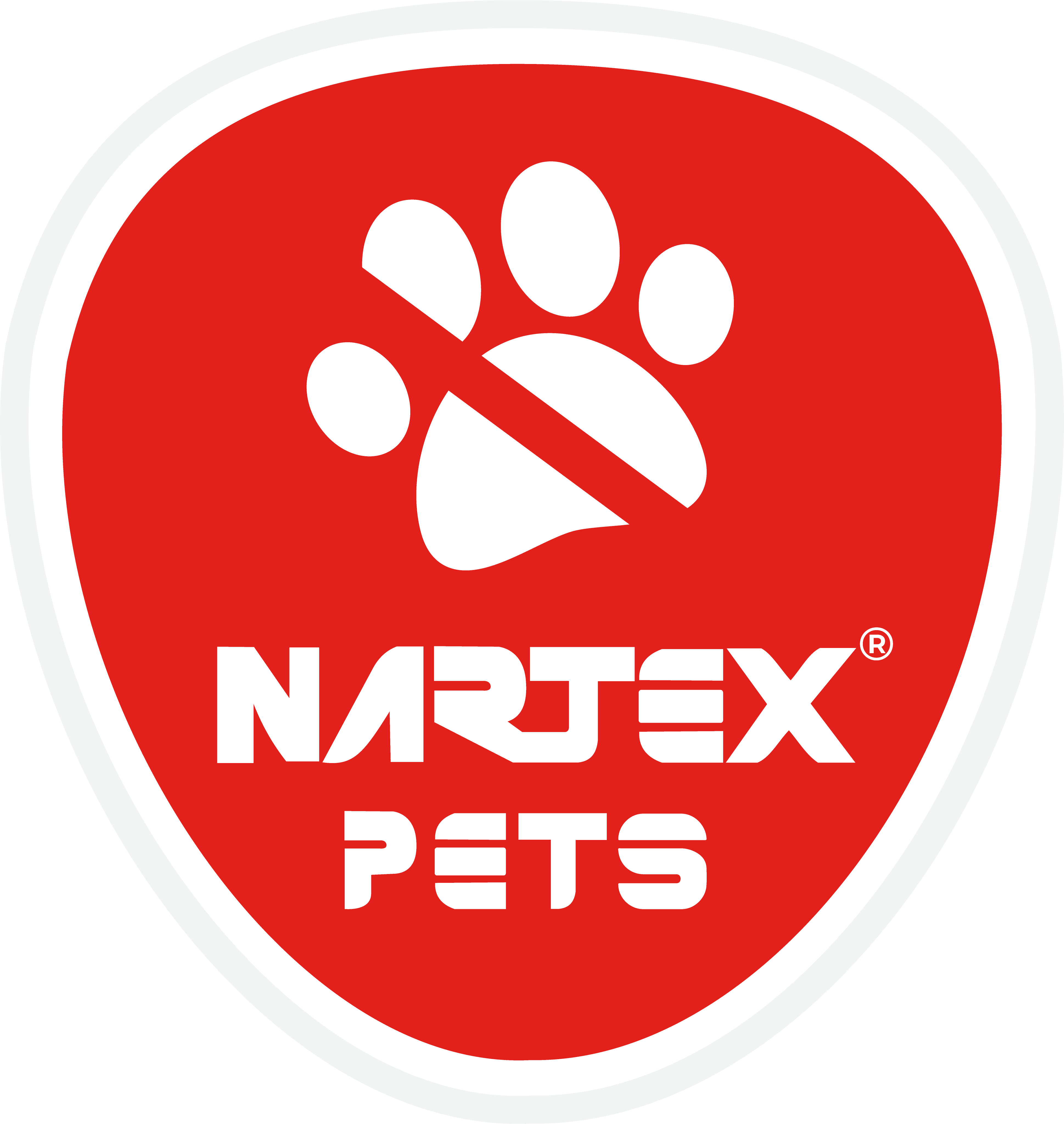 Logotipo de Nartex
