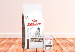 Royal Canin Gastro: Bienestar Digestivo Canino